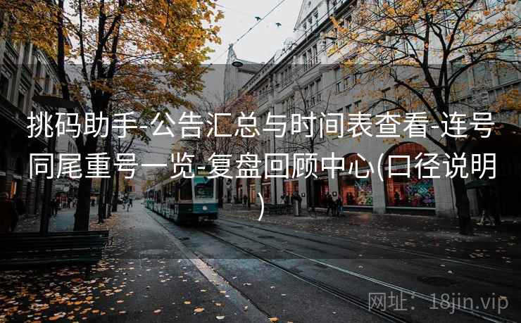 挑码助手-公告汇总与时间表查看-连号同尾重号一览-复盘回顾中心(口径说明)  第2张